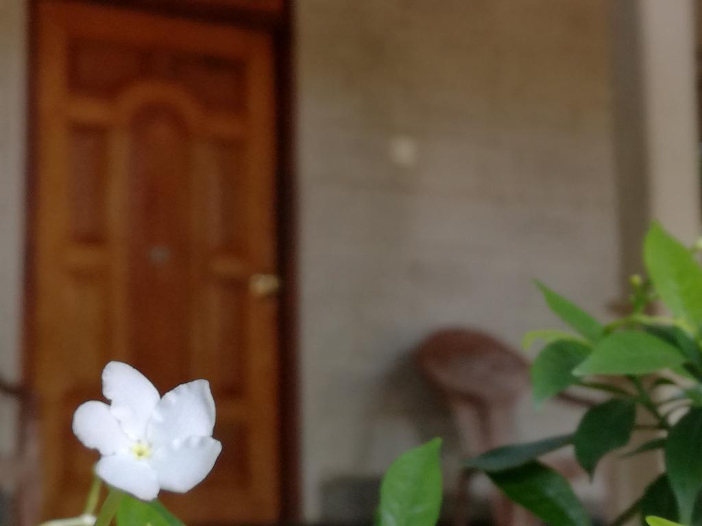Gabaa Resort & Spa - Habarana Eksteriør bilde